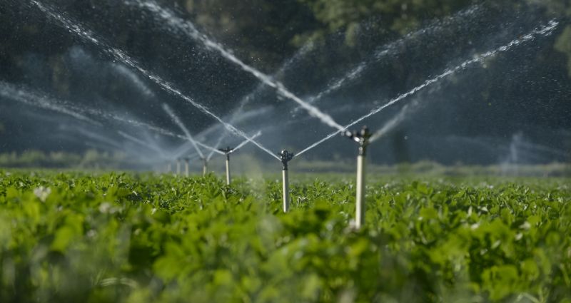 Field Irrigation System Repair