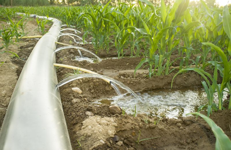 Plant Irrigation Installation in Ventura County, CA
