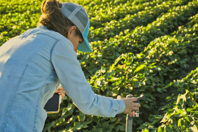 Field Irrigation System Repair